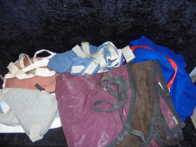 lot 101 image: Lot - Horse Blanket Size 74, Fly Net Head Mane Tamer, Misc