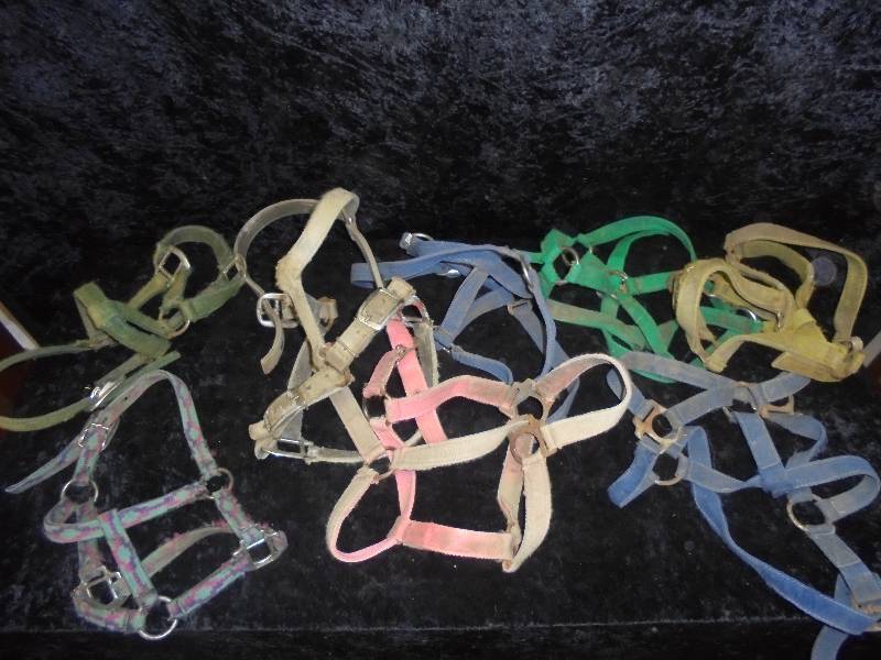 lot 105 image: Lot - Misc Halters