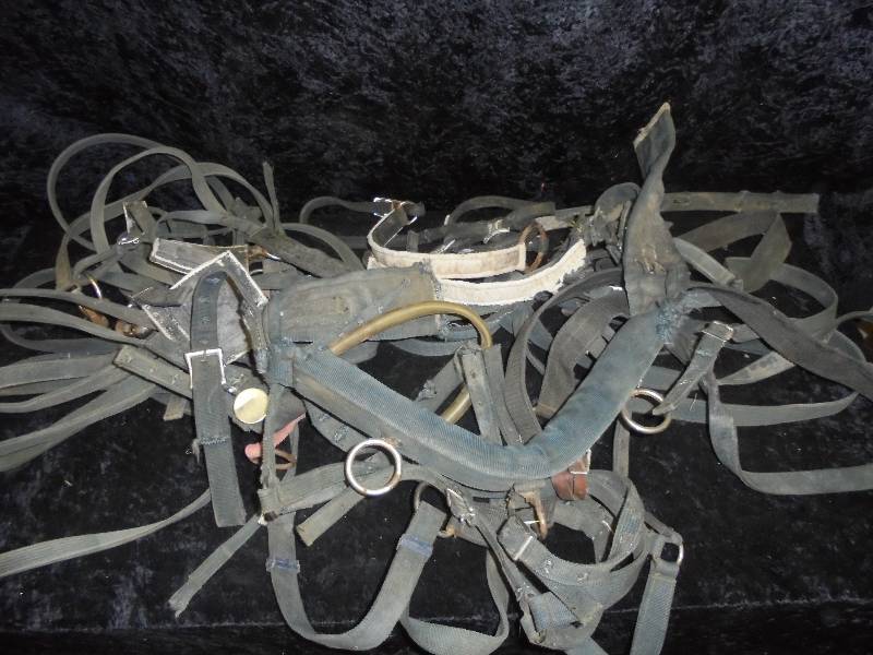 lot 108 image: Lot - Misc Halters, etc