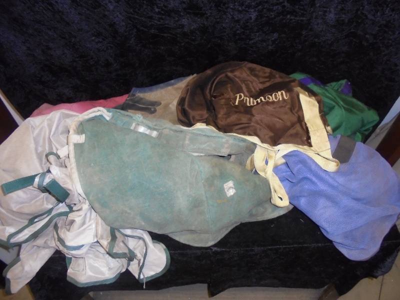 lot 109 image: Lot - Misc Fly Sheets, Hood, Blankes