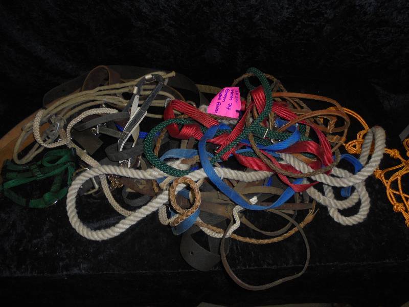 lot 110 image: Lot - Misc Reins, Straps, Rope