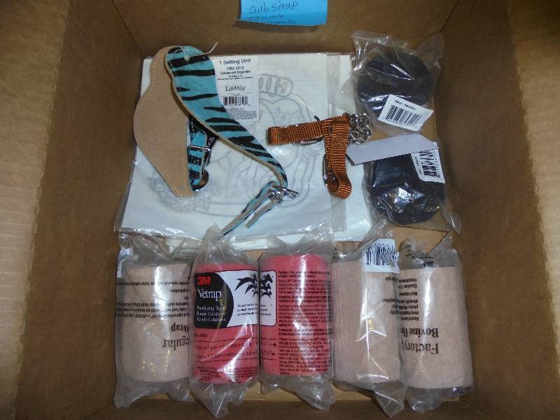 lot 122 image: Lot - Vet Wraps, Spur Holders, Curb Strap, Iron Ons, Bit Guards