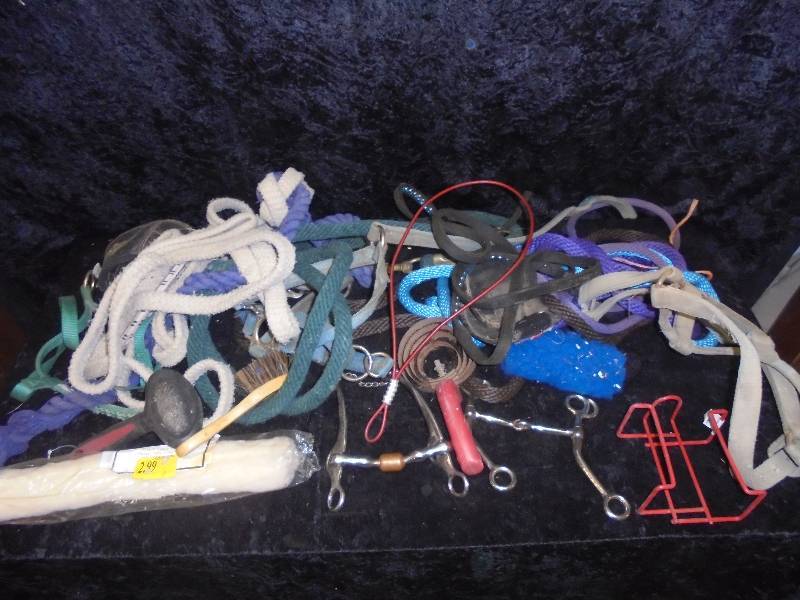 lot 124 image: Lot - Misc Ropes, Bits, Halters