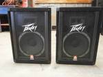 peavey 112tls speakers