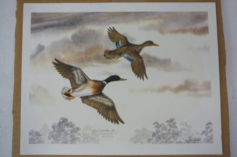 lot 42 image: Duck Print Dismith 11 x 8 34 unframed 253950