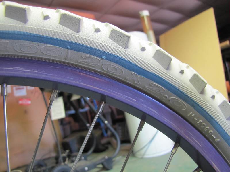 Girls Schwinn Bicycle (Purple)
