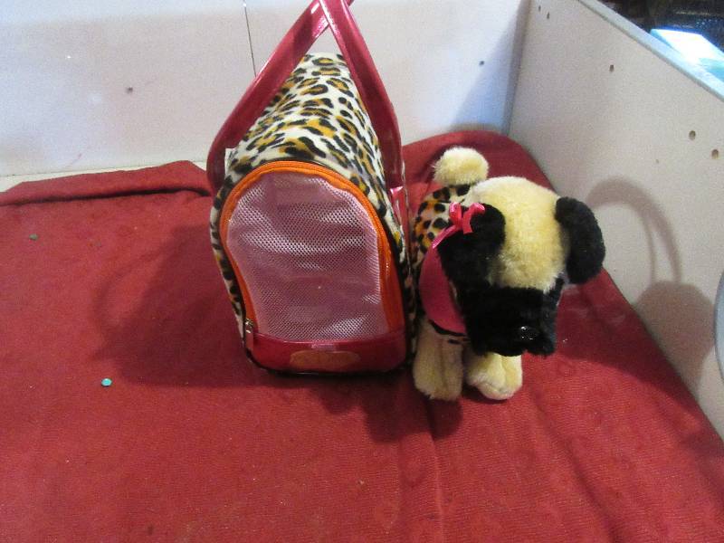 PUCCI PUP