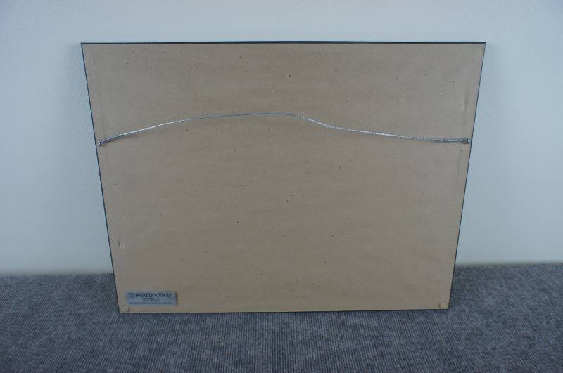 lot 22 image: Hamms Scenic Picture Professionally Wrapped