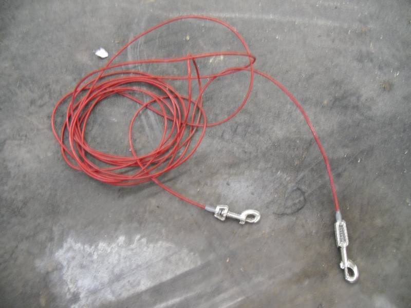 Dog Chain