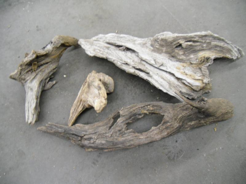 Drift Wood