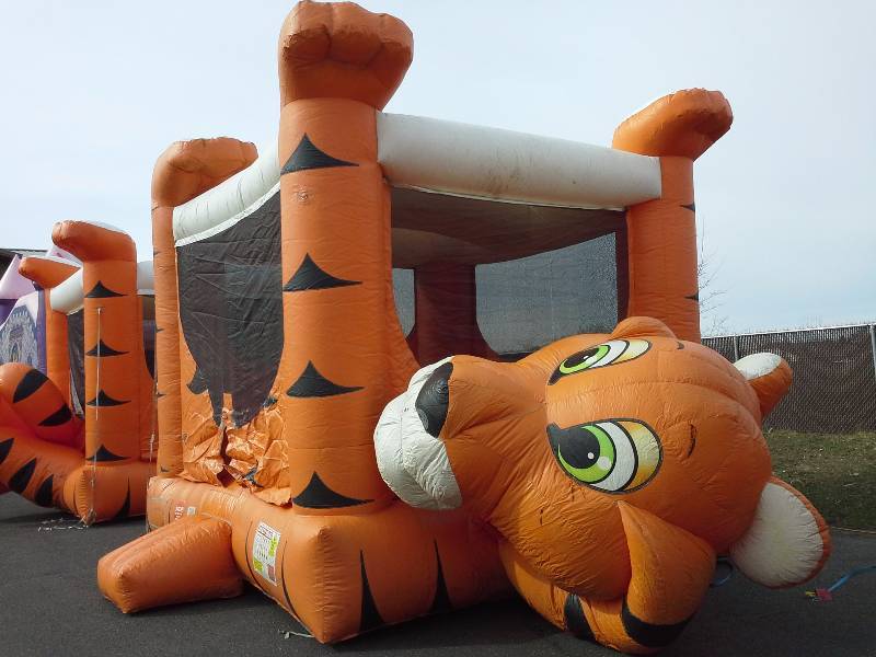 lot 5 image: Tiger Belly moonwalk,