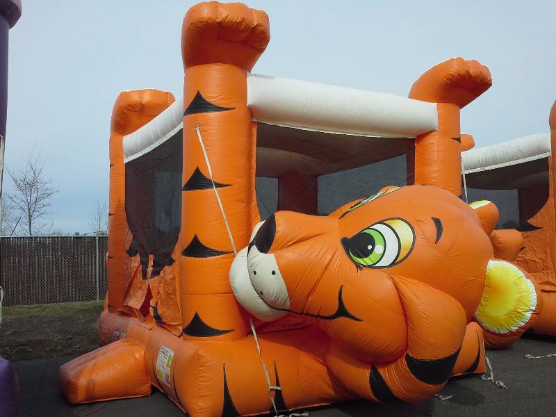 lot 6 image: Tiger Belly moonwalk,