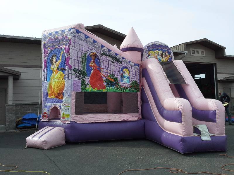 lot 8 image: Princess Palace combo 3 in 1,