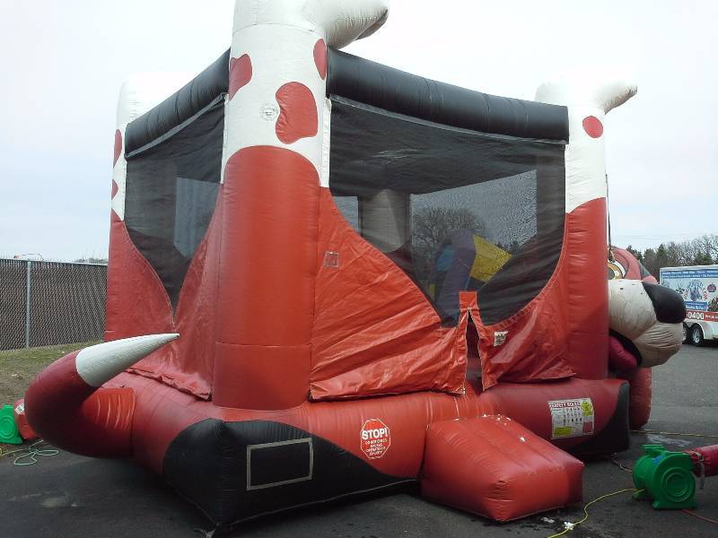 lot 20 image: Beagle Belly Moonwalk