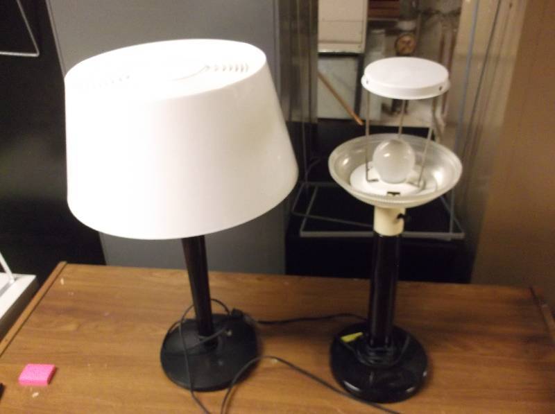 Lamp