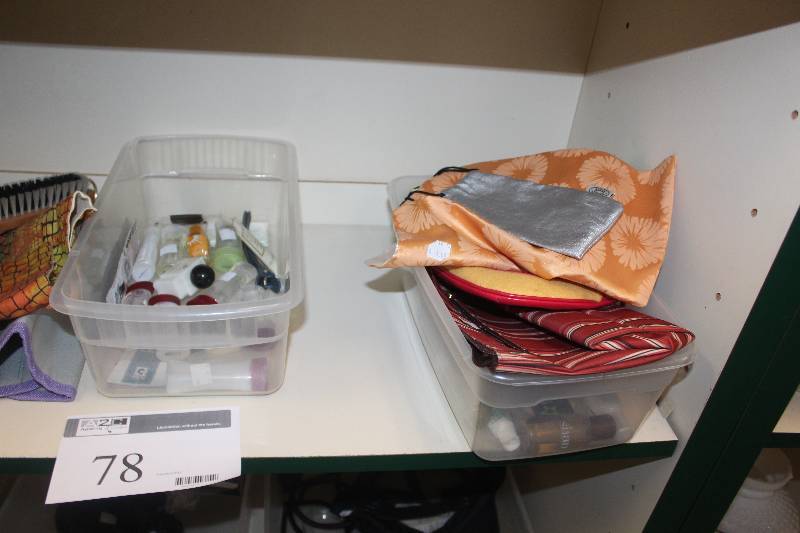 lot 78 image: Shelf Lot of Personal Care