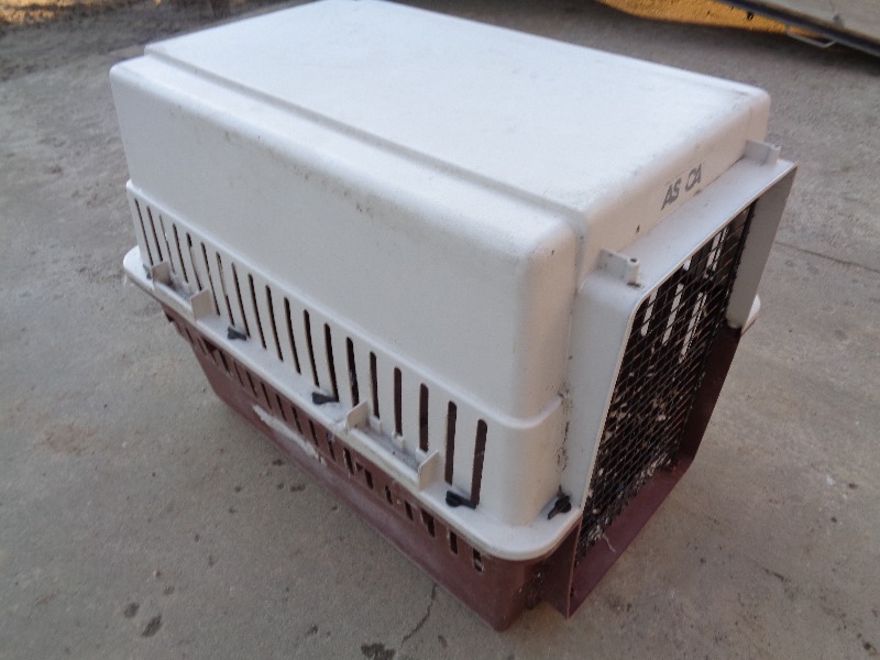 lot 59 image: Large Dog Kennel