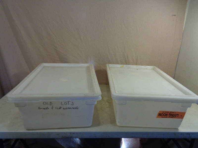 lot 124 image: 2 Totes with Lids