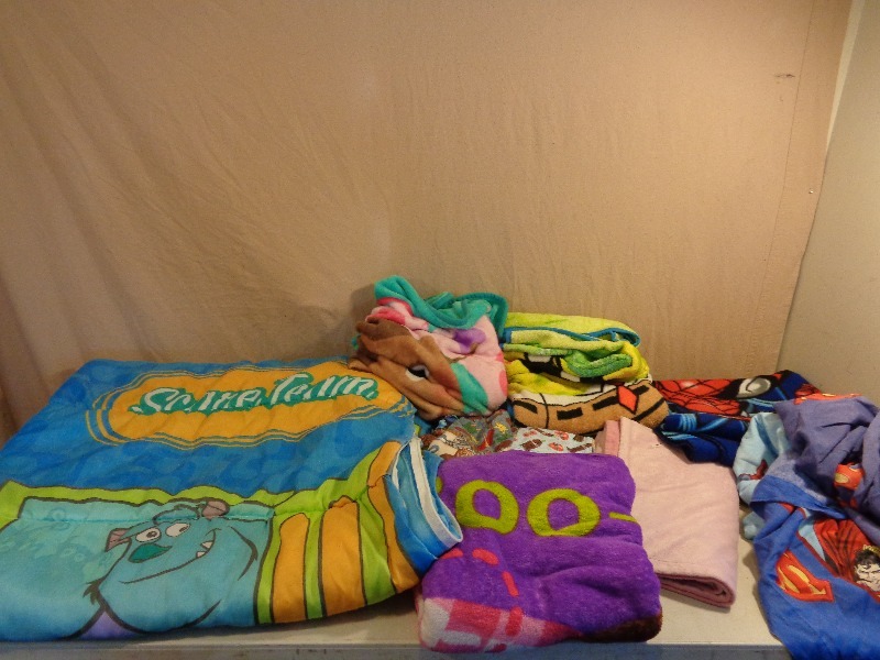 lot 138 image: Kids Sheets and Blankets