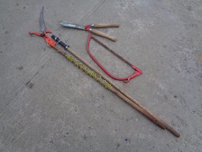 lot 75 image: Tree Trimming Tools