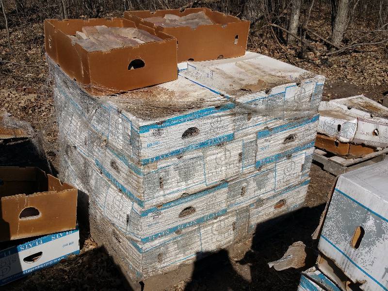 lot 52 image: Approx 18 Boxes Dutch Quality Stone Cypress Weather Ledge