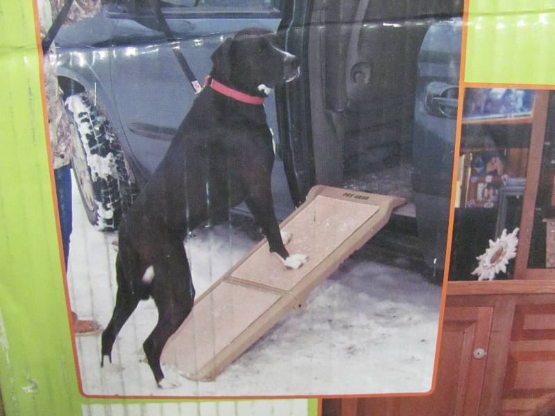 Pet Accessories