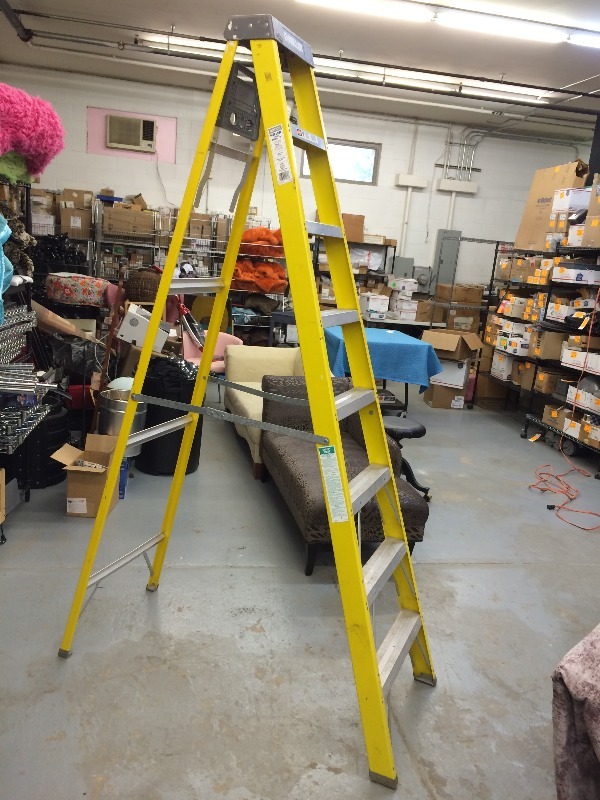lot 4 image: 8 Step Ladder - still in very good condition