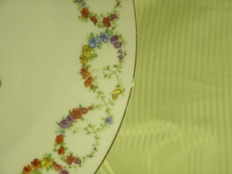 Bavaria Floral Plate