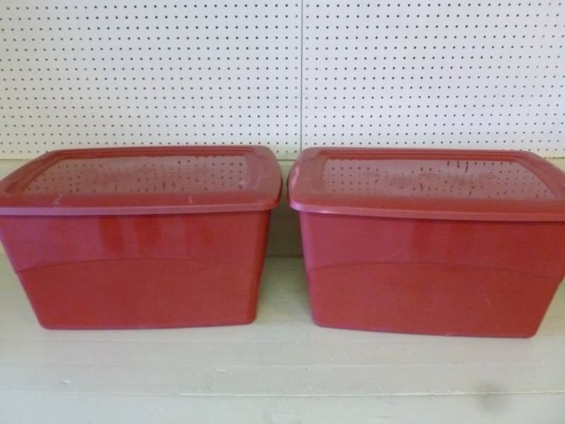 lot 204 image: Storage Totes