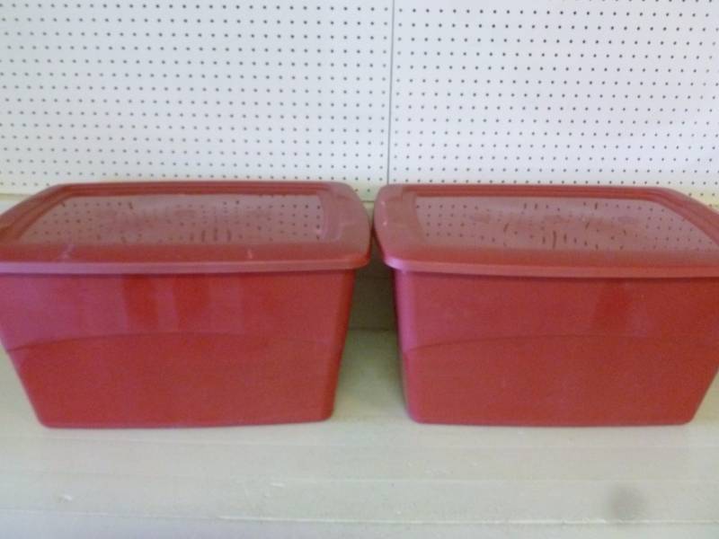 lot 209 image: Storage Totes