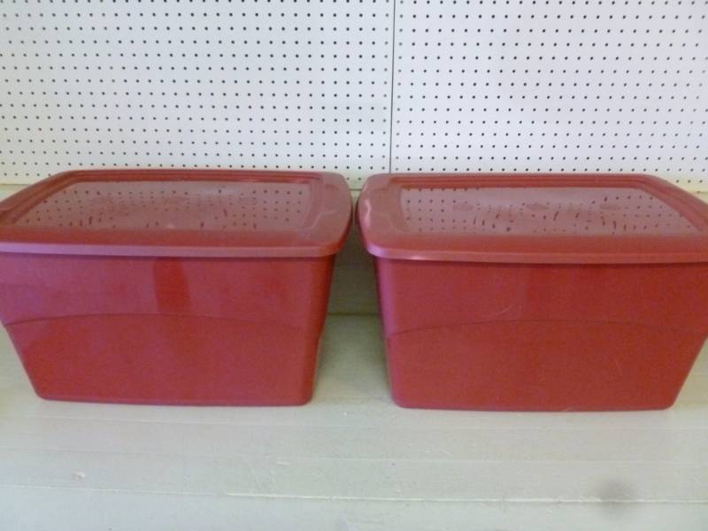 lot 213 image: Storage Totes