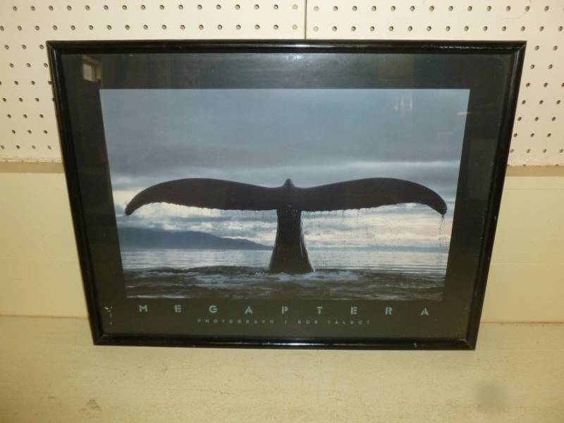 lot 478 image: Picture