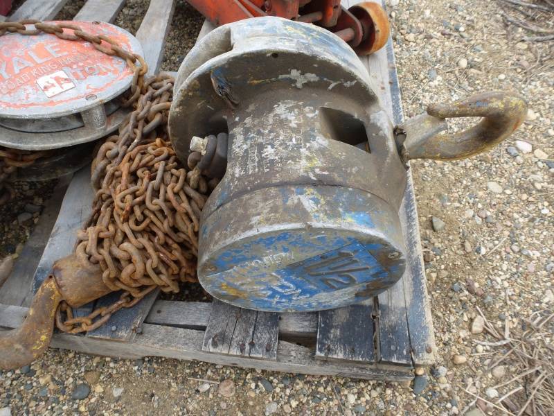 CM Cyclone Chain Hoist