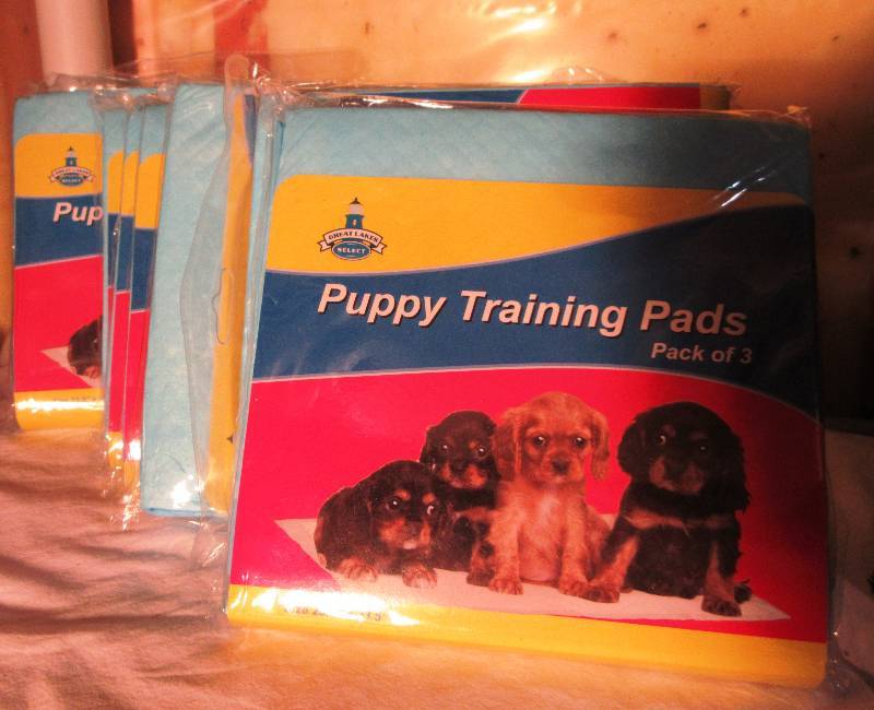 New - 7 Packs of 3 Puppy Training Pads