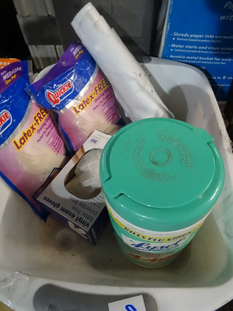 lot 94 image: Latex Free Gloves Lysol Wipes