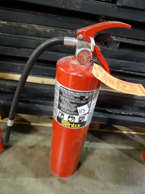 lot 113 image: Fully Charged Fire Extinguisher