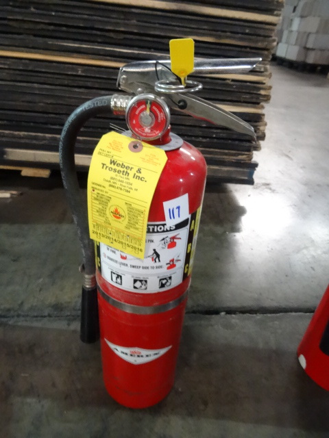 lot 117 image: Fully Charged Fire Extinguisher