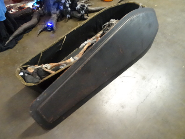 lot 257 image: Real Antique Coffin With Fake Skeleton