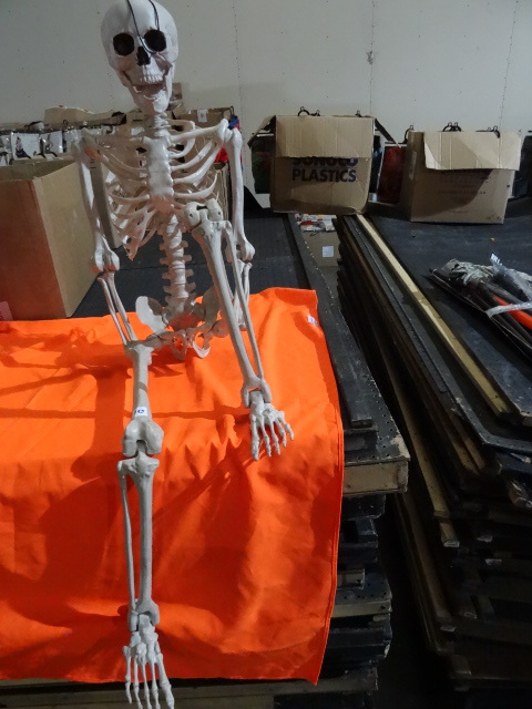 lot 295 image: Full Body Skeleton Life Size