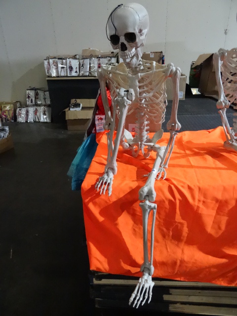 lot 296 image: Life Sized Skeleton Missing One Hand