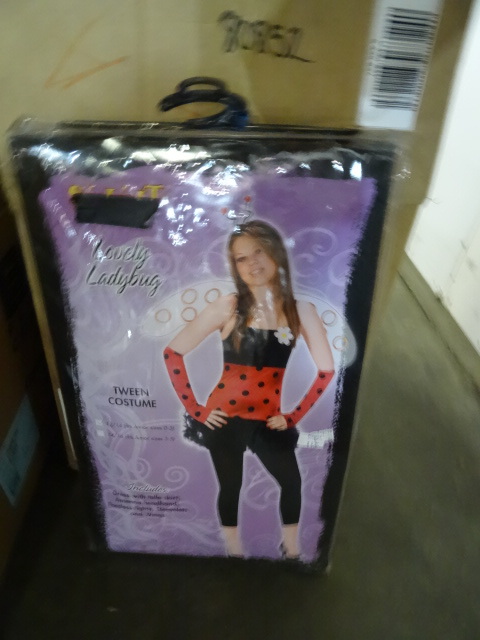 lot 327 image: Tween Costumes Lovely Lady Bug