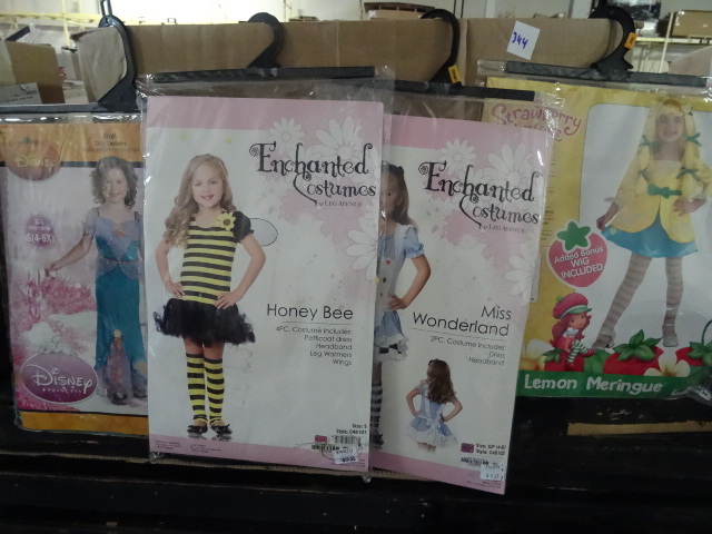 lot 344 image: Girls Costumes Assorted Small
