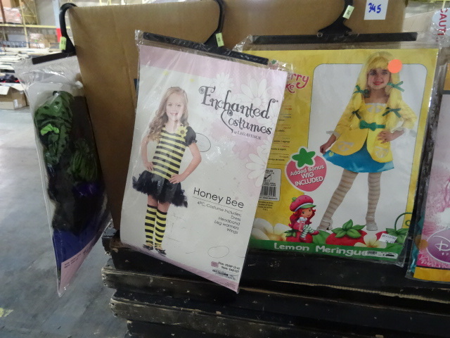 lot 345 image: Girls Costumes Assorted XS