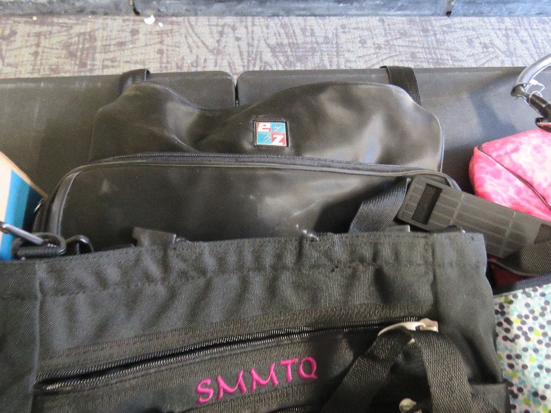 Bag Lot