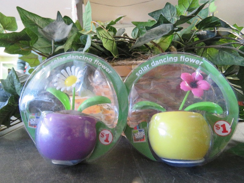 silk plants