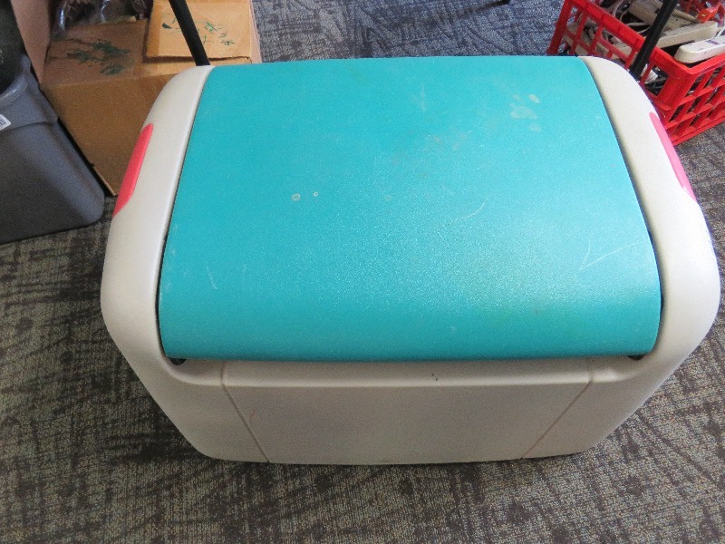 Large Toy Box