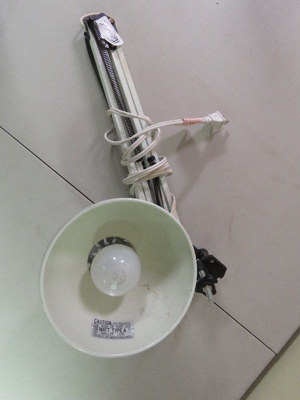 Clamp Lamp