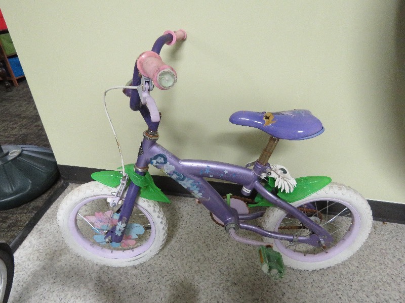 lot of 2 bikes