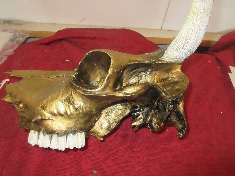 COW SKULL