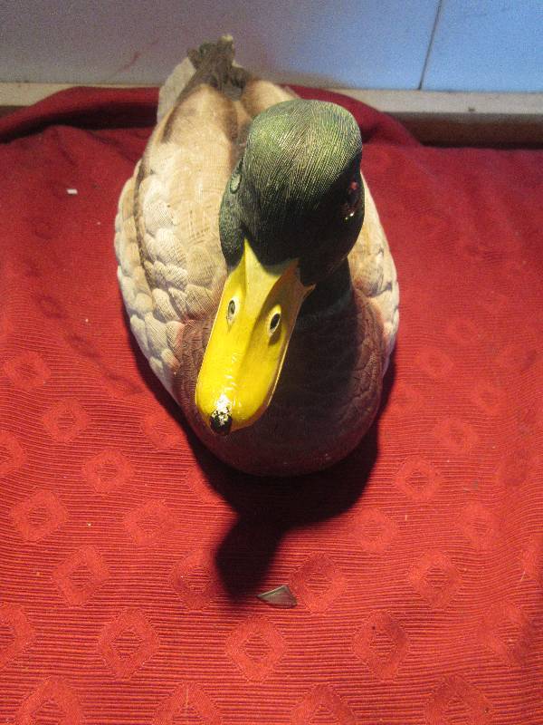 DECRATIVE DUCK